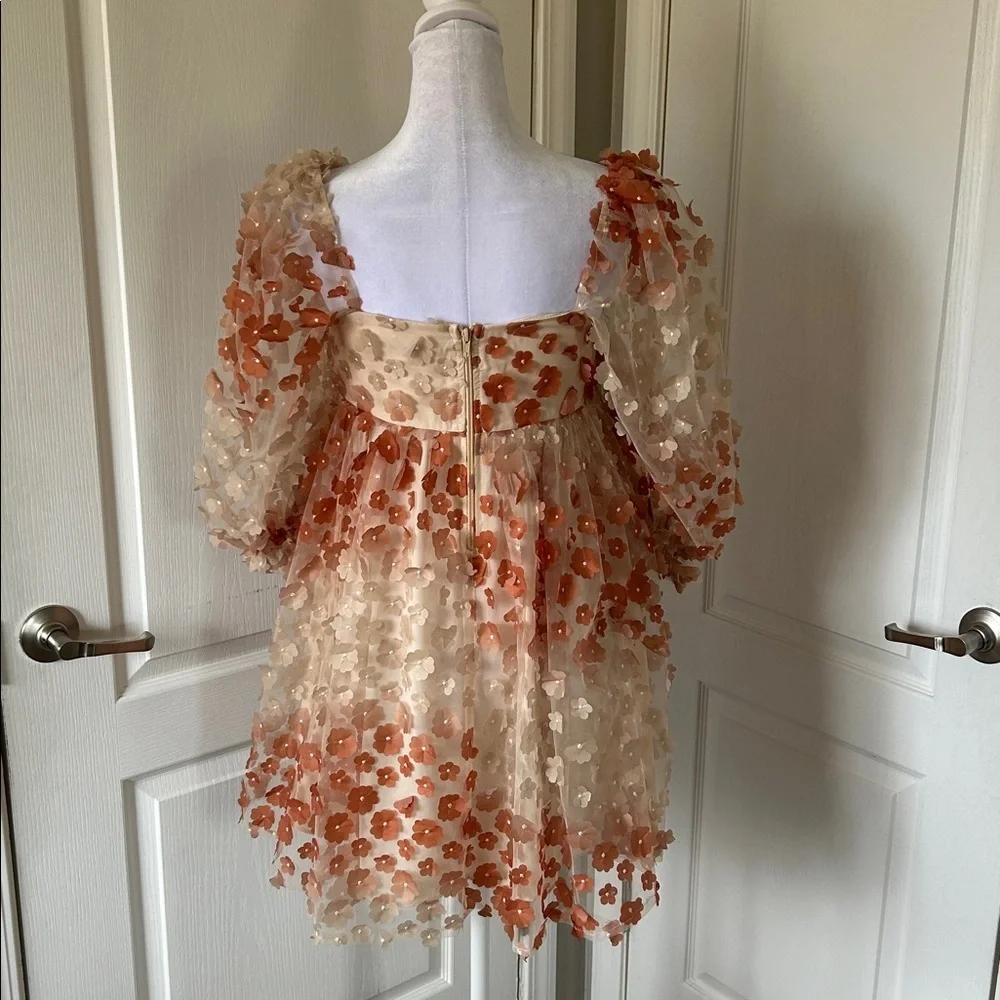 Vestiqúe Fairycore Romantic Sheer 3D Floral Babydoll Dress Puff Sleeves.​​